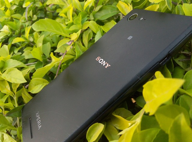 xperia