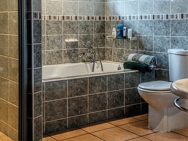 Vaňa a WC.jpg